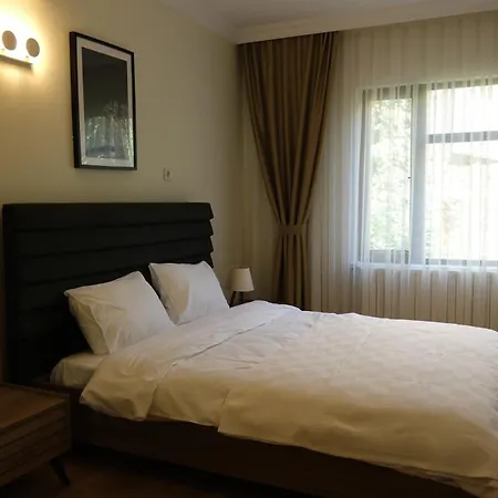 Lotus Goel Evi -private With Heated Pool Villa Serdivan